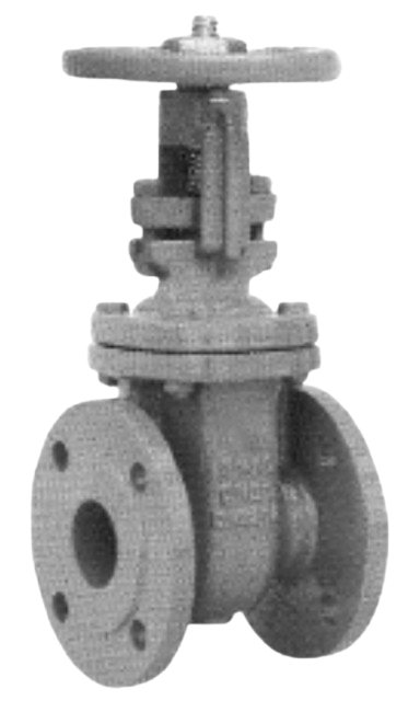 Magno gate valve rising stem