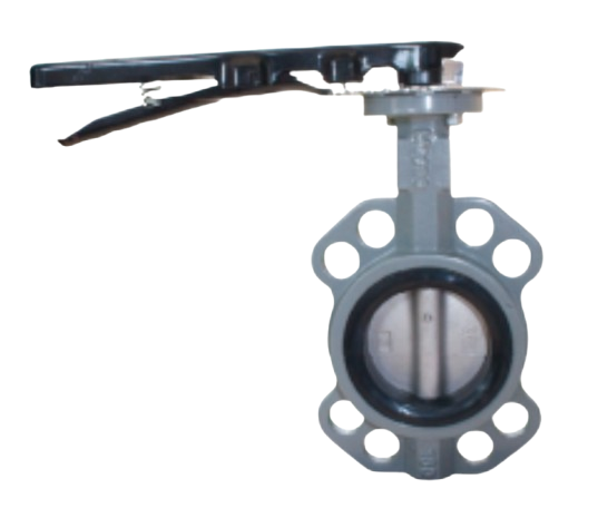 Magno butterfly valve