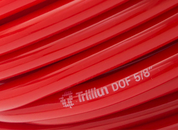 Trilliun Dof